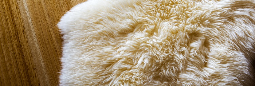 如何進行電子電器產(chǎn)品檢測 如何選擇正確的檢測項目 ?電能質(zhì)量檢測能力比較強的有推薦嗎 