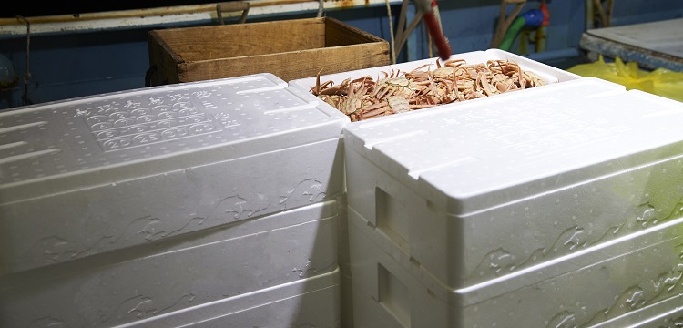 求問毒理未來的前景在何方 ?關于第三檢測行業，食品檢測、消費品檢測和環境檢測，業務的開發方向有什么差異。 