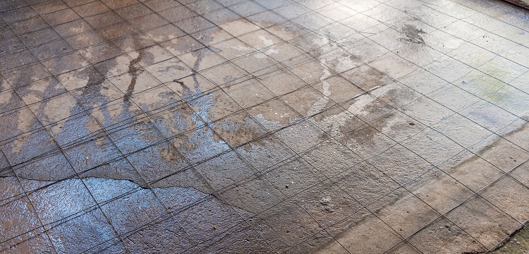 媒體報(bào)道多個(gè)電商平臺(tái)有售「造假消毒液」，用「甲醇冒充酒精」售賣(mài)，甲醇對(duì)人體的危害有多大 如何辨別 ?寵物醫(yī)院用什么消毒液? 健明迪檢測(cè)