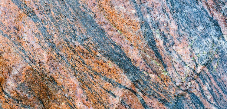 2022年廣東省最新林業(yè)碳匯申報要求匯總：方法學(xué)、申報模板、材料清單