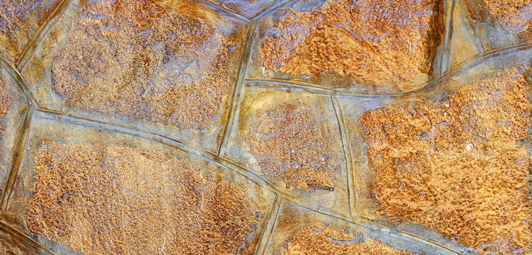 消毒產品檢測：低溫蒸汽甲醛滅菌器滅菌效果檢測