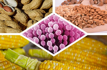 新買的冰箱怎么進(jìn)行檢測?口腔清潔產(chǎn)品檢測?健明迪