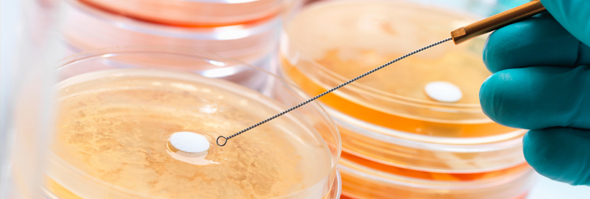 食品微生物測試