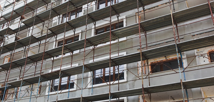 帕金森病斑馬魚(yú)模型