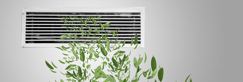 調節(jié)腸道干細胞分化基因小鼠譜系示蹤模型