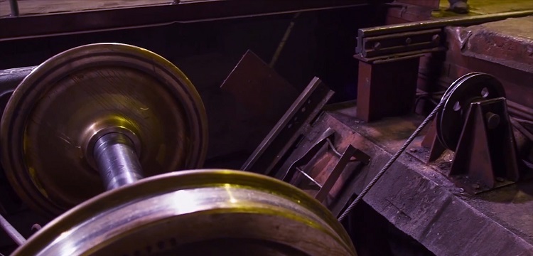 Igfbp5基因敲除肺結核小鼠模型