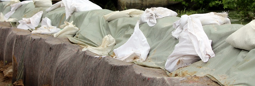 刺蒺藜皂甙檢測(cè)