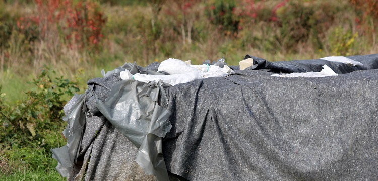 環磷酰胺誘導的免疫低下模型