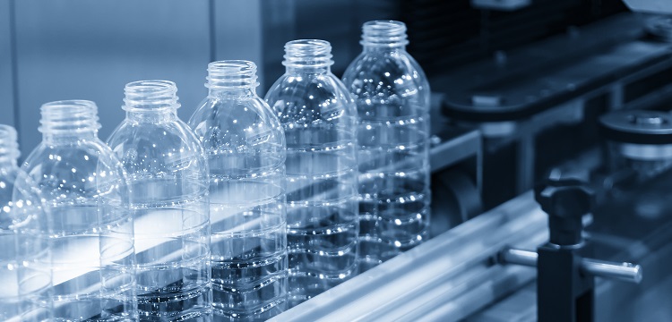 過敏性紫癜兔模型