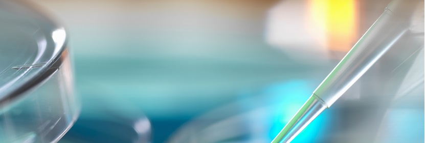 高脂飲食誘導的肥胖小鼠