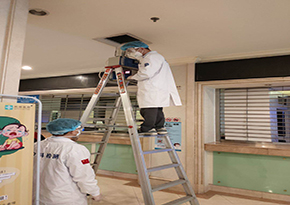 氧化鉍檢測(cè)