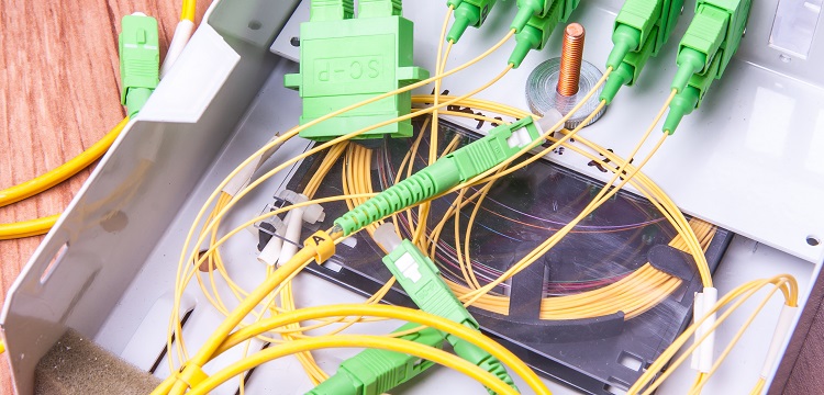 致敏性分散染料測定