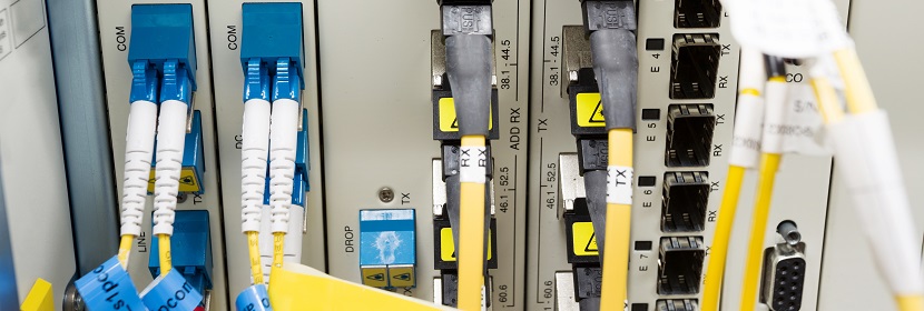 酒石酸的含量測定