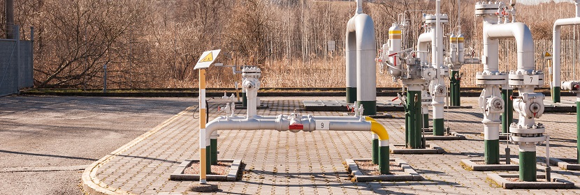 鄰甲基苯甲酸檢測