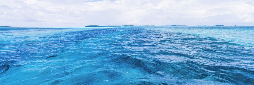 生物膜細菌檢測