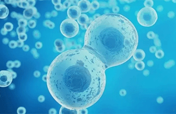 高熔點(diǎn)蠟檢測