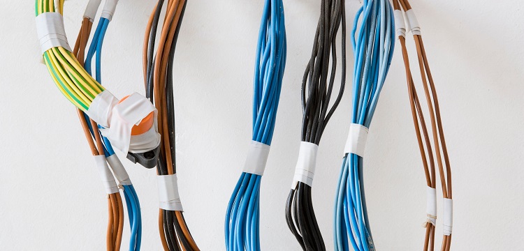 低聚異麥芽糖檢測