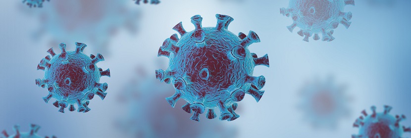 降解薄膜測試實(shí)驗(yàn)