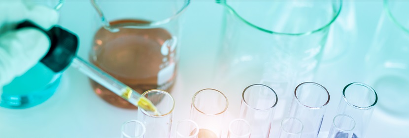 淀粉膠檢測(cè)