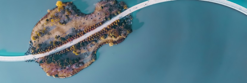 人工心臟瓣膜檢測(cè)