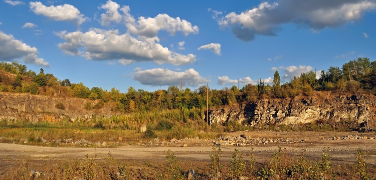 單相同步電機(jī)試驗(yàn)