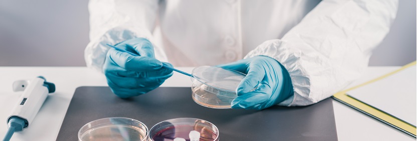 骨架密度測(cè)試