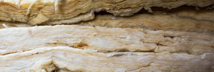 雞蛋卷營(yíng)養(yǎng)指標(biāo)檢測(cè)