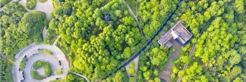 工具酶檢測(cè)