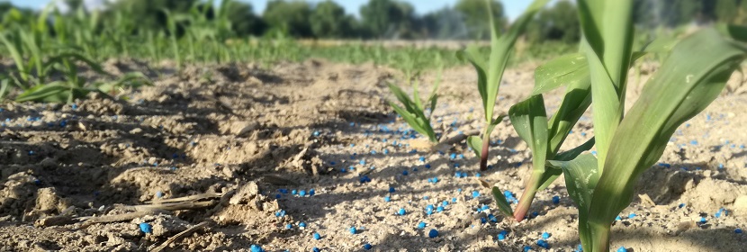 脲甲醛緩釋肥料檢測(cè)