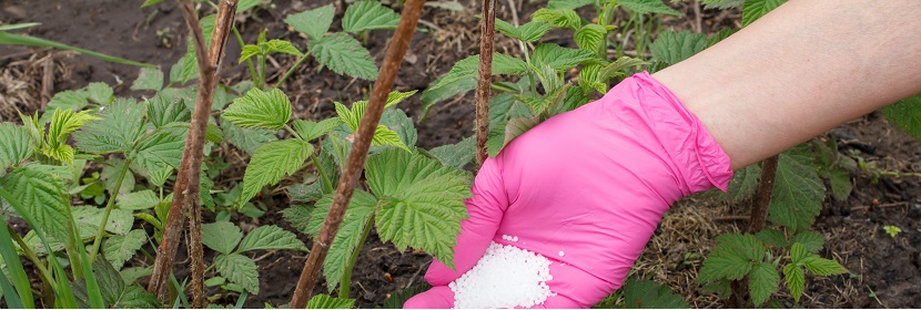 丁烯叉二脲緩釋肥料檢測(cè)