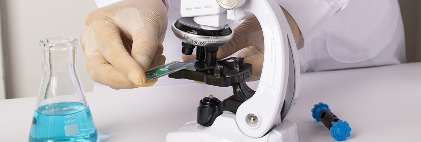 化妝品體外哺乳動物細胞微核試驗