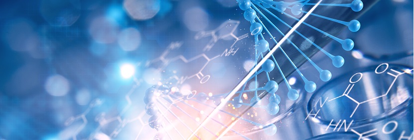 專用竹片炭檢測