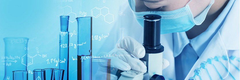 生物質(zhì)棒狀成型炭檢測