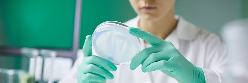 工業(yè)用亞硫酸氫銨檢測