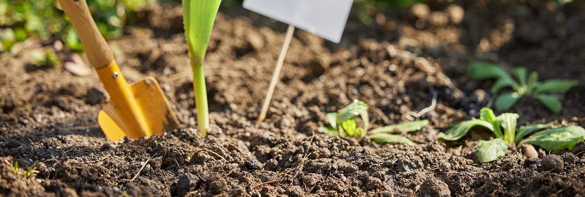 土壤養(yǎng)分檢測(cè)