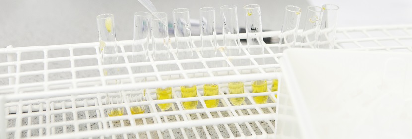 氰化物檢測鑒定